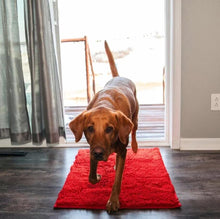 Lade das Bild in den Galerie-Viewer, TQGOLD Premium Cleany Mat Hundematte 40x60cm Mikrofaser