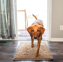 Lade das Bild in den Galerie-Viewer, TQGOLD Premium Cleany Mat Hundematte 40x60cm Mikrofaser
