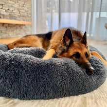 Lade das Bild in den Galerie-Viewer, TQGOLD Hundebett Wolke 7 Kuschelbett 70 cm beige gepolstert
