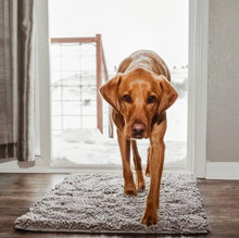 Lade das Bild in den Galerie-Viewer, TQGOLD Premium Cleany Mat Hundematte 40x60cm Mikrofaser
