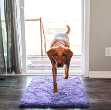 Lade das Bild in den Galerie-Viewer, TQGOLD Premium Cleany Mat Hundematte 40x60cm Mikrofaser
